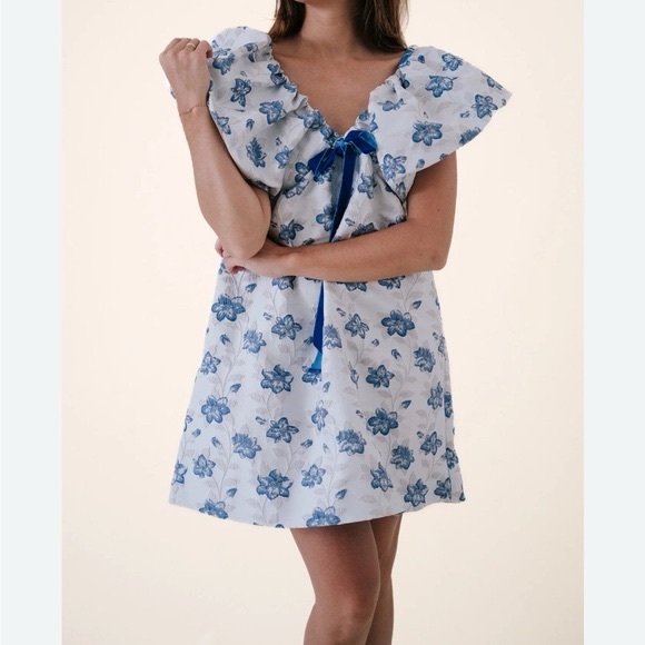 Day + Moon Dresses & Skirts - 🆕 Day + Moon Floral Jacquard Puff Sleeve Mini Dress Regencycore Cottagecore Chic